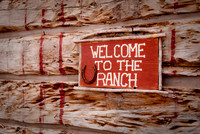Amy's Ranch