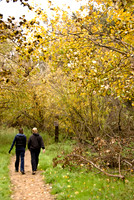 Peter's Canyon....Tustin....early am hike