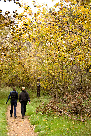 Peter's Canyon....Tustin....early am hike