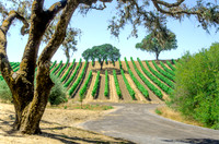 NorCal0615