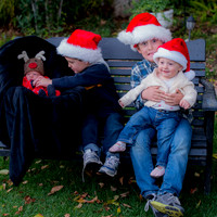 the Christmas Spirit