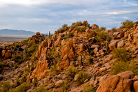 06-2009ArizPP-18