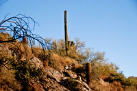06-2009ArizHike-18