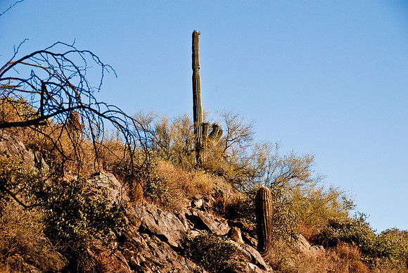 06-2009ArizHike-18