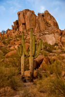 06-2009ArizPP-16