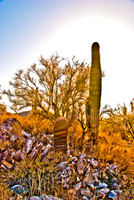 06-2009ArizHike-12