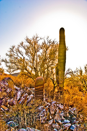 06-2009ArizHike-12