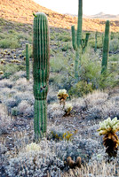 06-2009ArizHike-27