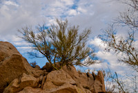 06-2009ArizPP-13