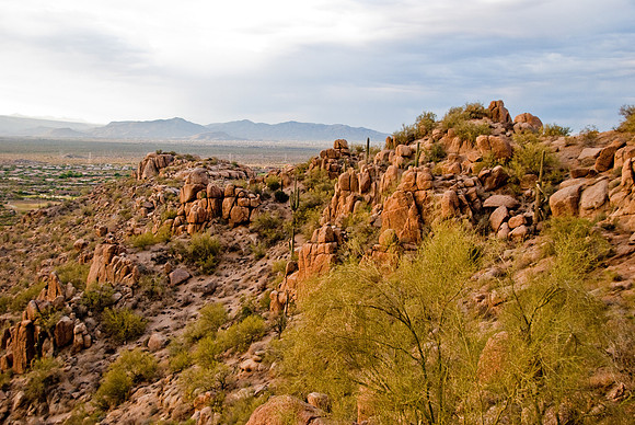 06-2009ArizPP-19