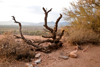 06-2009ArizPP-17