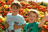 The Flower Fields