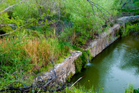santiago oaks-- march 2009