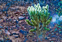 06-2009ArizHike-20